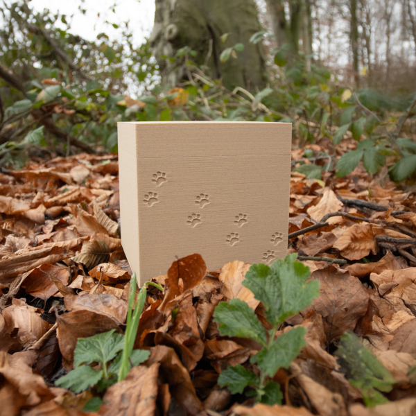 3D-Biourne Wolkenbox, verschiedene Motive