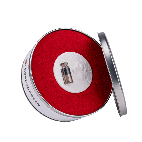 Pfotenabdruck aus Gips mit Fell in Metalldose