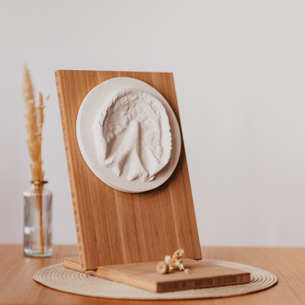 Hufabdruck aus Gips auf Holztafel