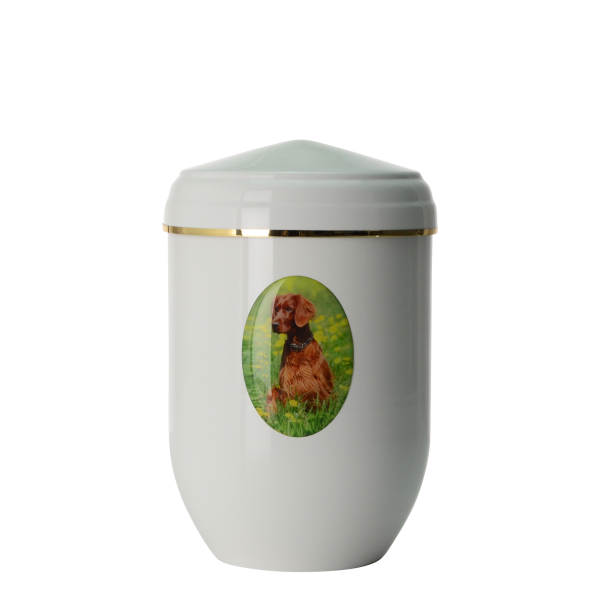 Plastisches Fotomedaillon von Bildvorlage, oval ausgeschnitten