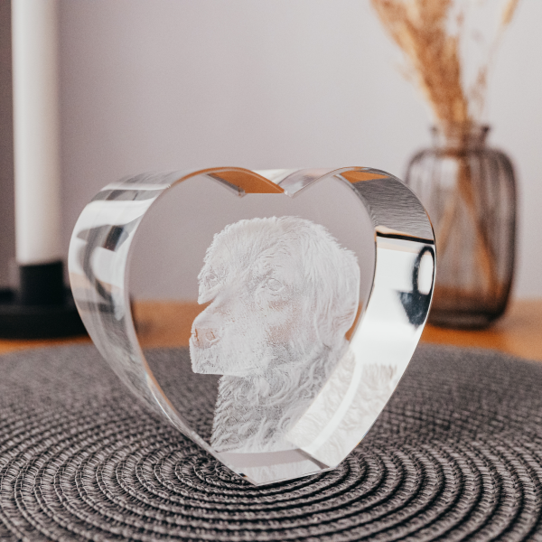 3D-Foto-Glasblock Herz