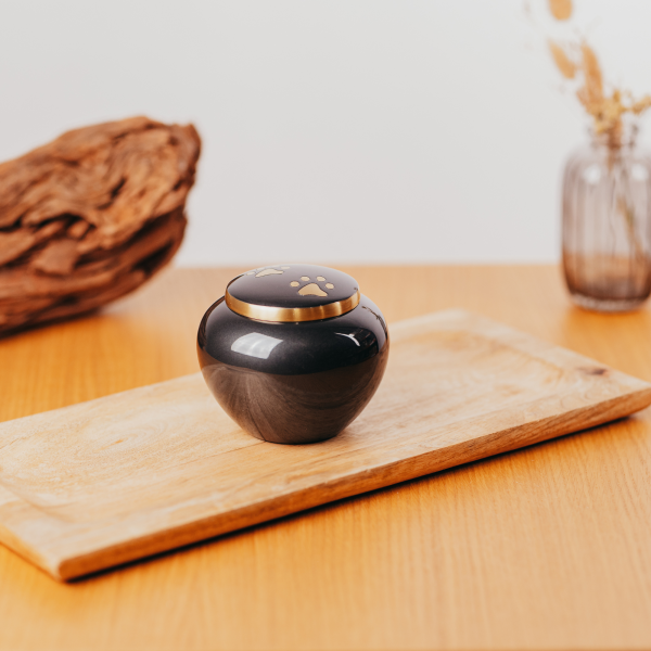 Metallurne mit zwei Pfoten