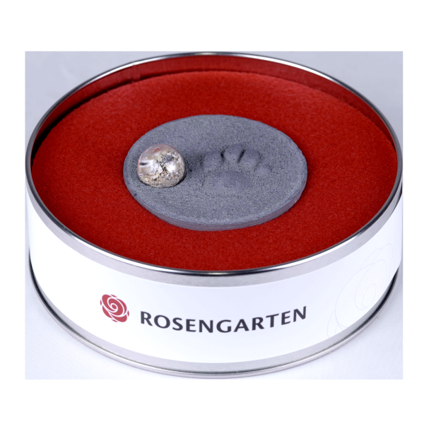 Pfotenabdruck aus Gips mit Asche in Metalldose, schwarz