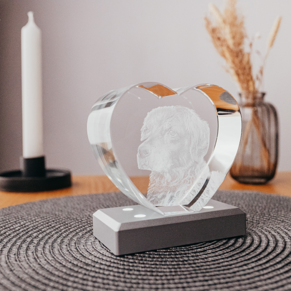 LED Leuchtsockel, weisse LED's