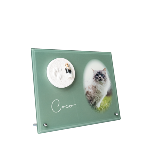 Pfotenabdruck aus Gips mit Fell auf Glasplatte inkl. Foto