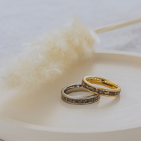 Aschering Earth Shine Aschering Earth Shine