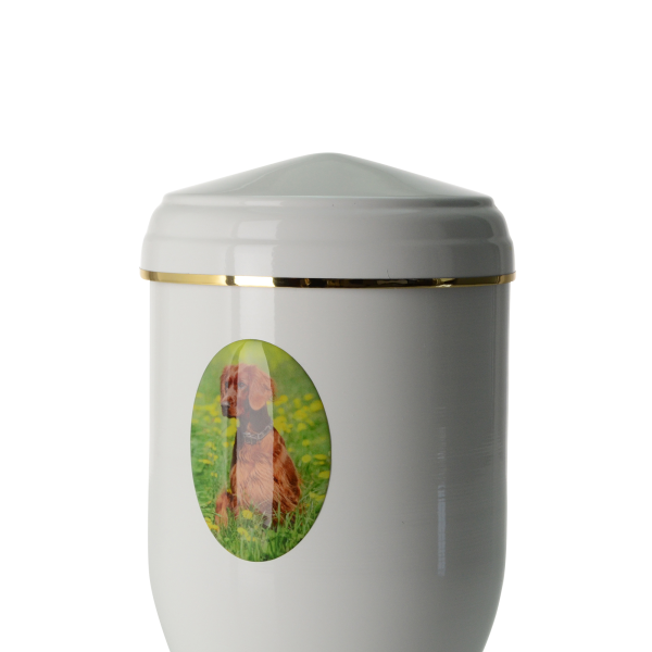 Plastisches Fotomedaillon von Bildvorlage, oval ausgeschnitten