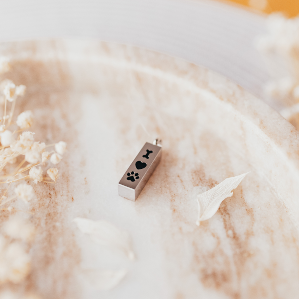 Ascheanhänger Zylinder Knochen Herz Pfote