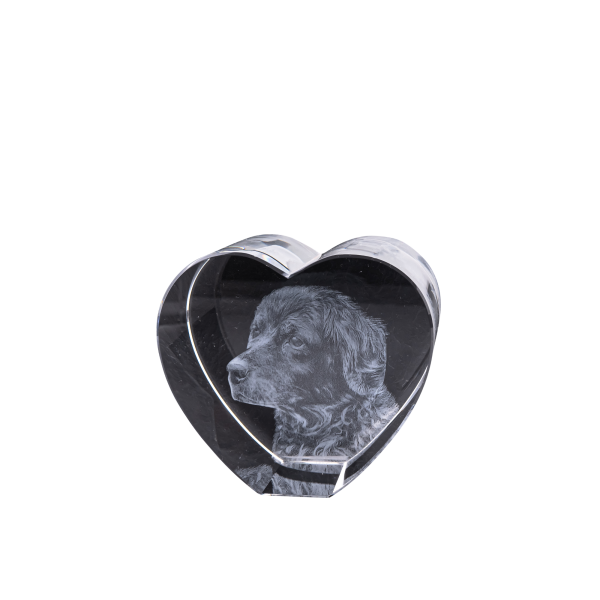 3D-Foto-Glasblock Herz