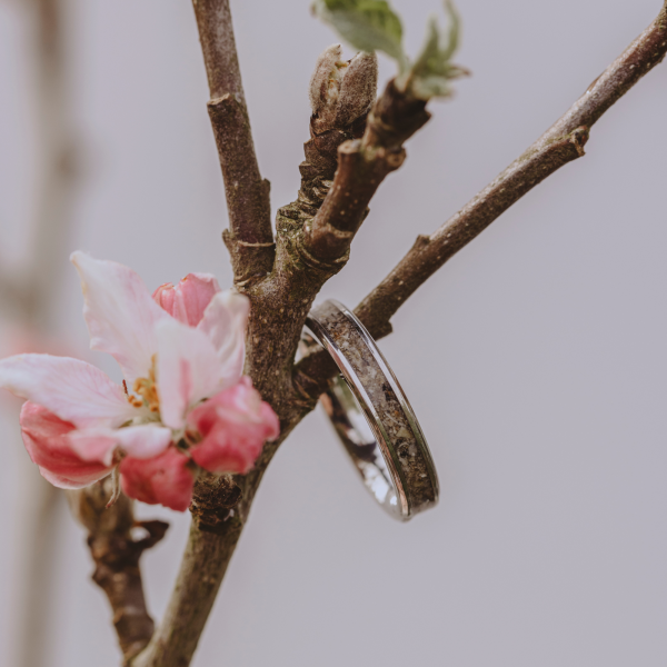 Aschering Earth Shine