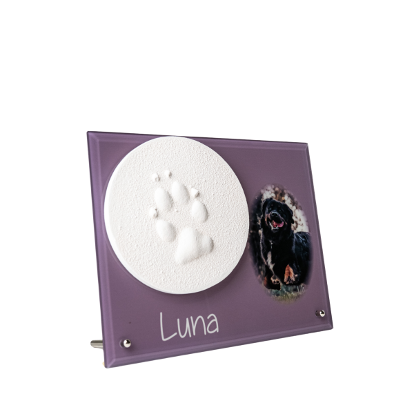 Pfotenabdruck aus Gips auf Glasplatte inkl. Foto