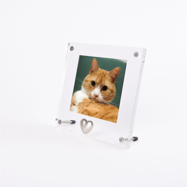 Bilderrahmen Memory mit Aschekapsel