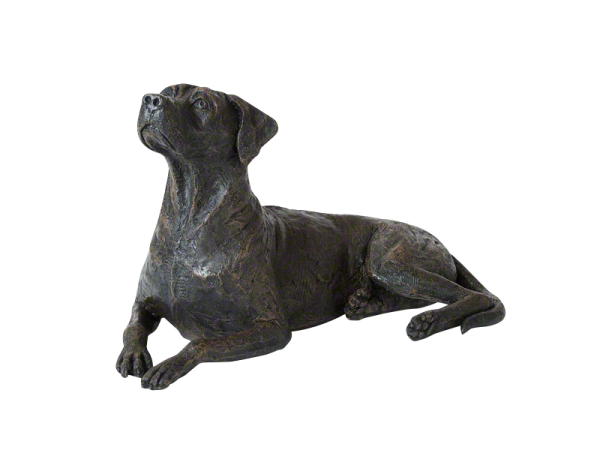 Kunstharzurne, Rhodesian Ridgeback