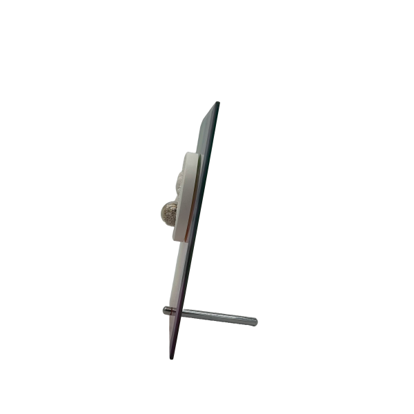 Pfotenabdruck aus Gips mit Fell auf Glasplatte inkl. Bedruckung und Beschriftung